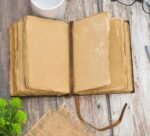 vVXftL-1200×1167 (1)